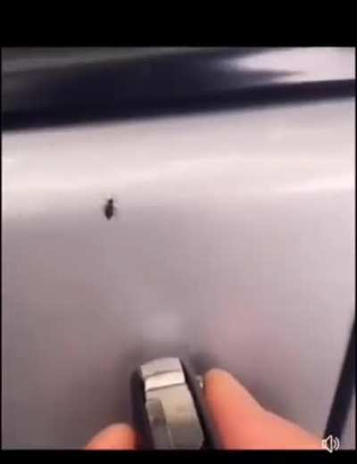 That time of year again