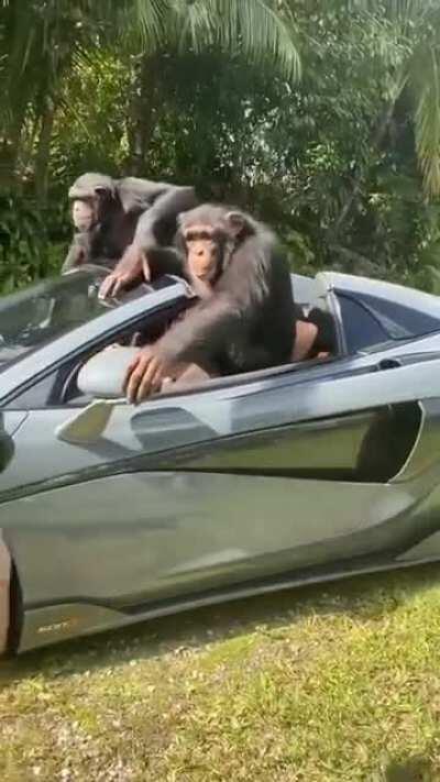 EL MEJOR VIDEO DE TODOS LOS TIEMPOS .