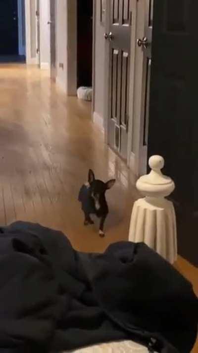 Enjoy this rise, I know I am. Lol