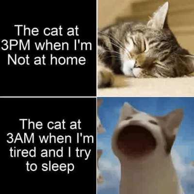 It do be like that tho