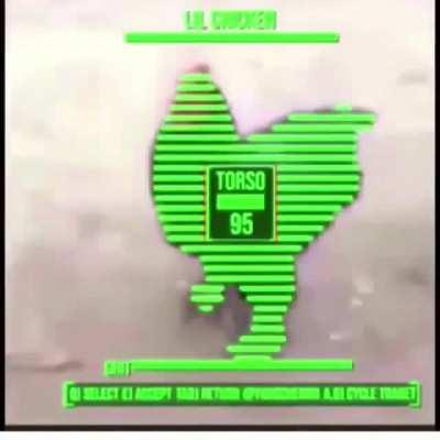 MMMMM WHY DOES THIS LOOK SO GOOD MMMMMM (educational because it shows how to properly use a gun, use the VATS system, and how to properly stir up the chicken before cooking)