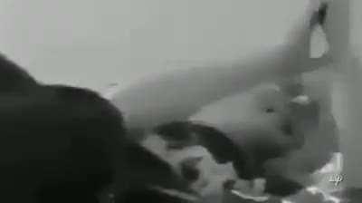 cursed enough for ya?