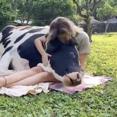 How could anyone eat this beautiful creature?