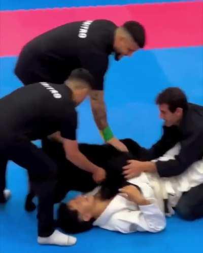 Dog rushes in a jujutsu competition to help his fallen owner