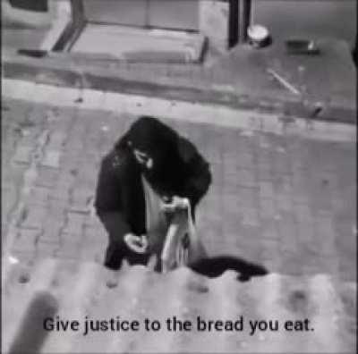 Drunk guy arguing with a streetdog about communism and narcissism