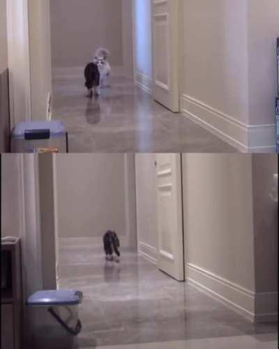 What kills us is absence of those we love