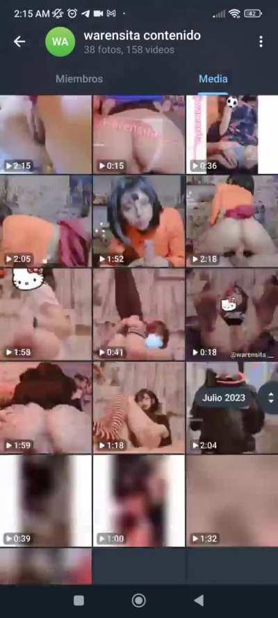 todo el contenido de la warensitaArsmate  
