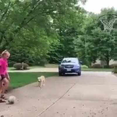 Children are interesting specimens