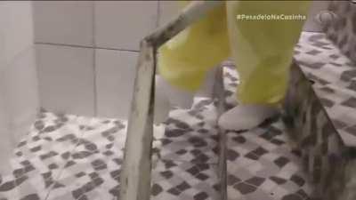 JACQUIN IMPOSTOR SUS