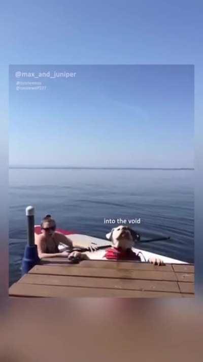 Pup just wants to make it on land.