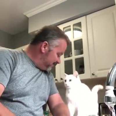 Lily the cat loves her hooman dad..