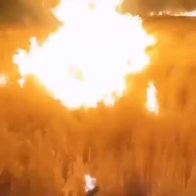 burning a field