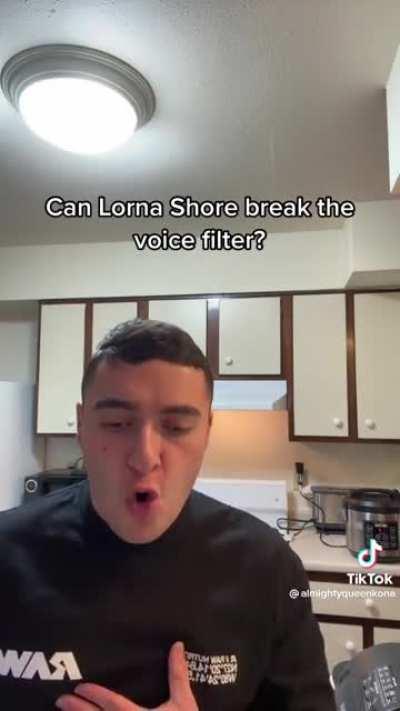 TikTok Voice Filter