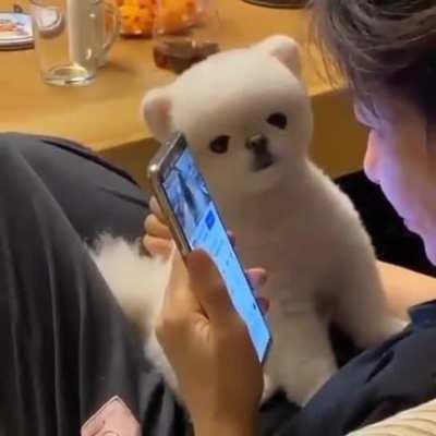 Why are you not looking at me?