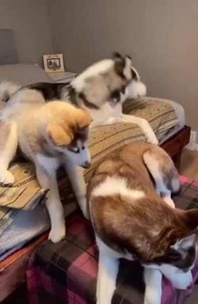 All she asked, if they wanna go to the park?