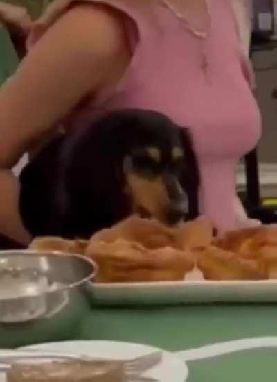 Melhor lição de vida sobre oportunidades