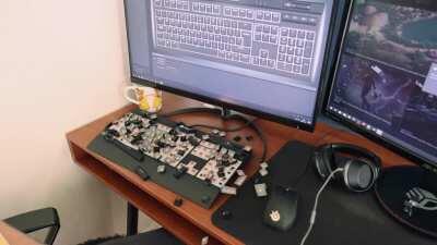 I'd like to report a bug