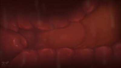 Now THIS is what I'm talking about.