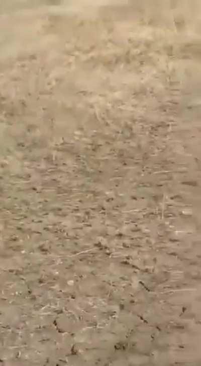 SU-25 attack aircraft crashes shortly after take-off reportedly in Crimea - September, 2022