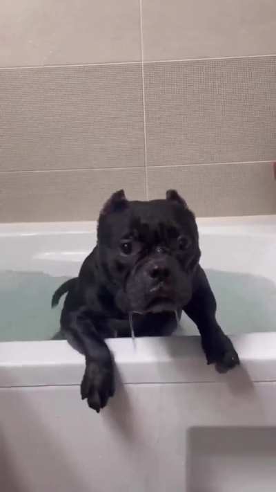 He really loves doing this