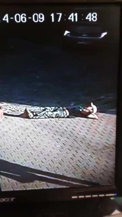 WCGW when you get kicked out of a bar for drinking too much and decides to take a nap on the sidewalk?