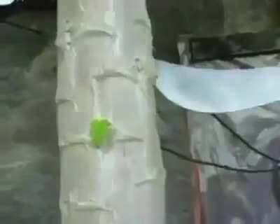 Africa Director's Cut Epic Fight 60fps 1080p