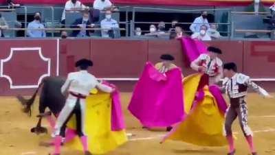 Bull Completely Decimates Matador...