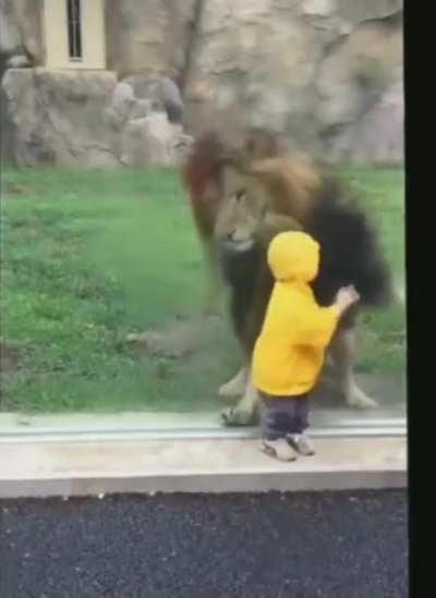 Turning your back on a predator