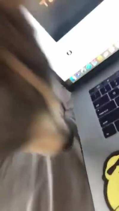 My friend sent me this , this is so cute.