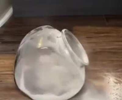 I'm 15 and this is yeet