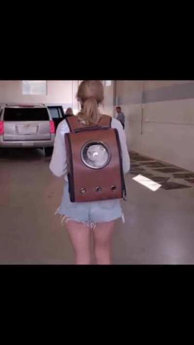 Ending the night worshipping Taylor's gorgeous thighs and hint of her cheeks peaking out the bottom as she walks. Would love to be wrapped up in them as I give her worship before bed.