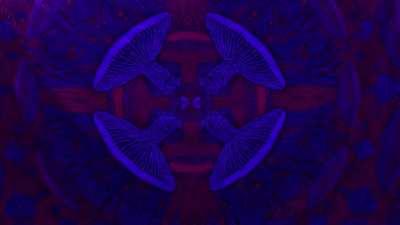 Tapestry + LED’s = trippy af