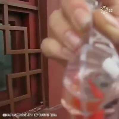 yes, let’s sell animals as keychains!