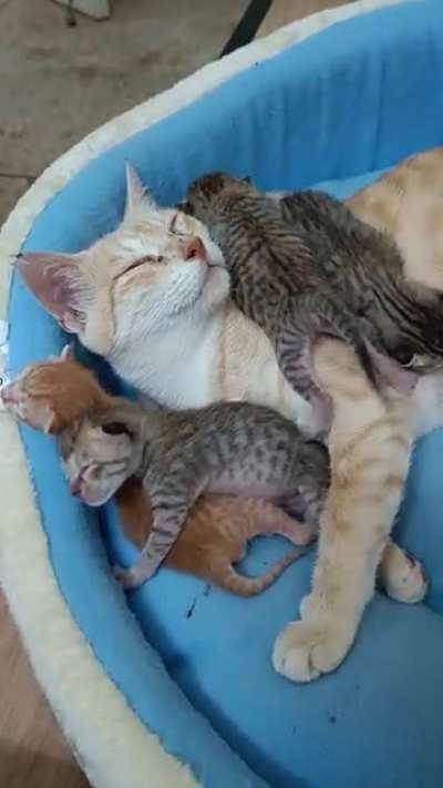 Motherhood has it's moments.