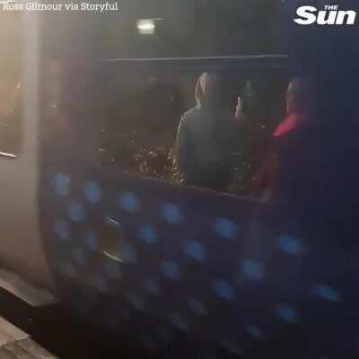 Harry Potter fans queue for hours to see Hogwarts Express only for a commuter train to block the view