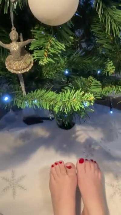 Would you like to find these tiny pretty little things under your tree this Christmas?