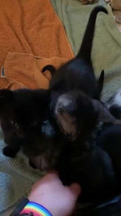 An illegal gathering for your consideration