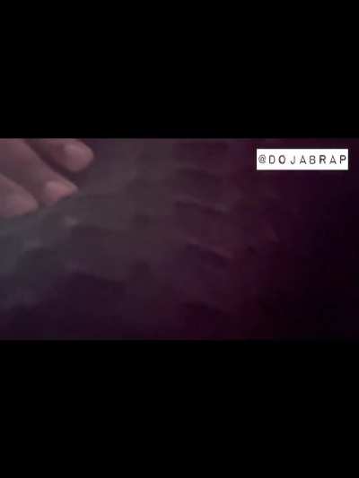 💨🍑DojaBrap🍑💨