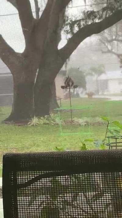 A shower in SW Florida, with a breeze for the wind spinner.