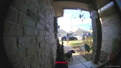 Just gotta grab something from my car real quick.