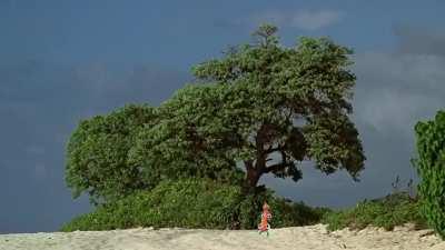 Previously, on Bugsnax