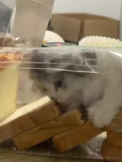 convenient package for her