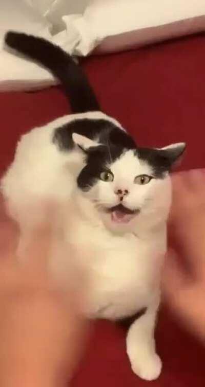 Hit’em with the old razzle dazzle