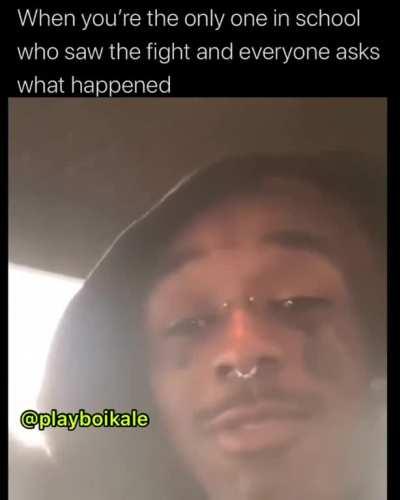 Did you see the fight ? What happened ?