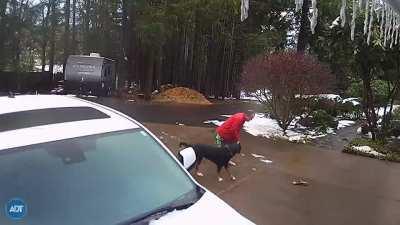 He was so excited after pooping he sent me to the ER.