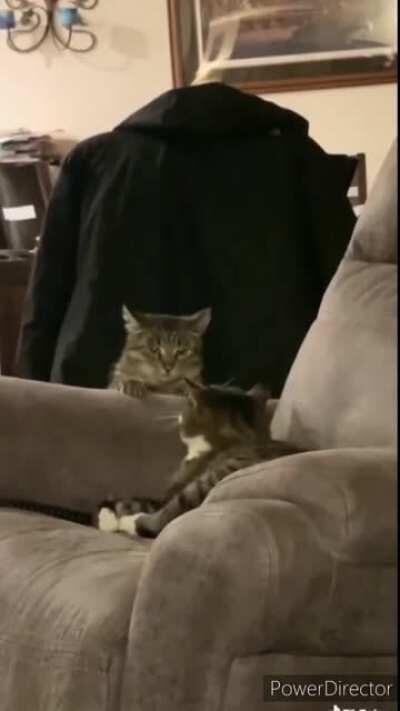 The Master of Stealth