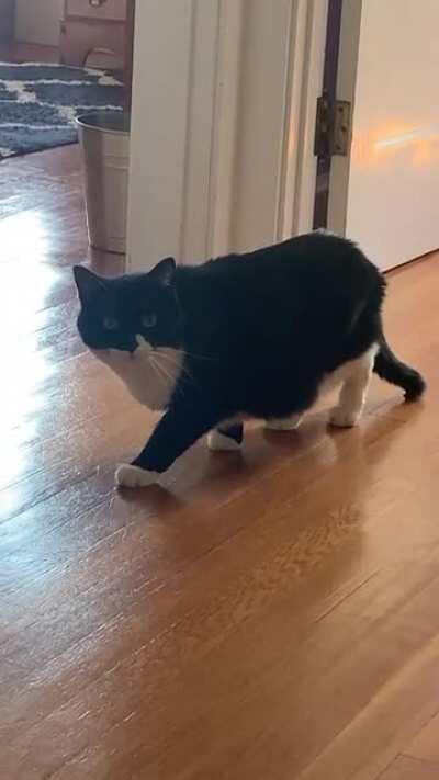 “If I don’t move maybe she won’t see me”