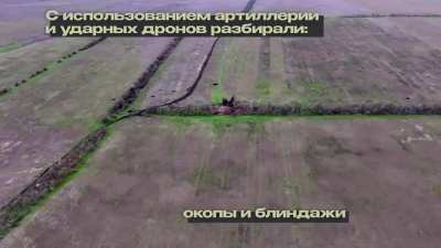 Monthly report by the 