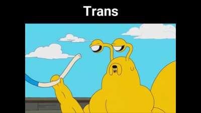 Trans be like