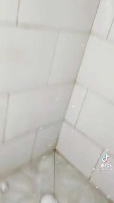 Nu que chuveirão massa